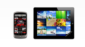 We provide iPhone, iPad and Android native app development
